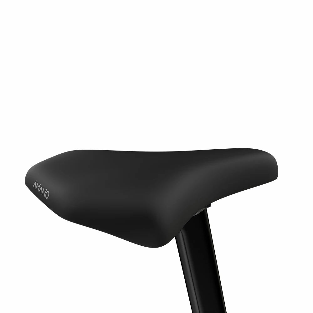 PIXAR AMANO S900 (EU) Electric Bike