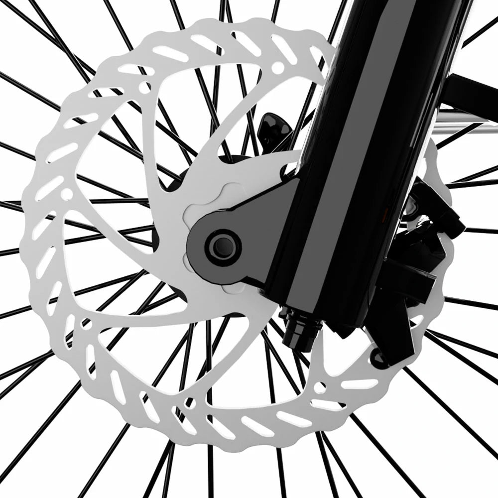 PIXAR Cruiser (EU) Electric Bike